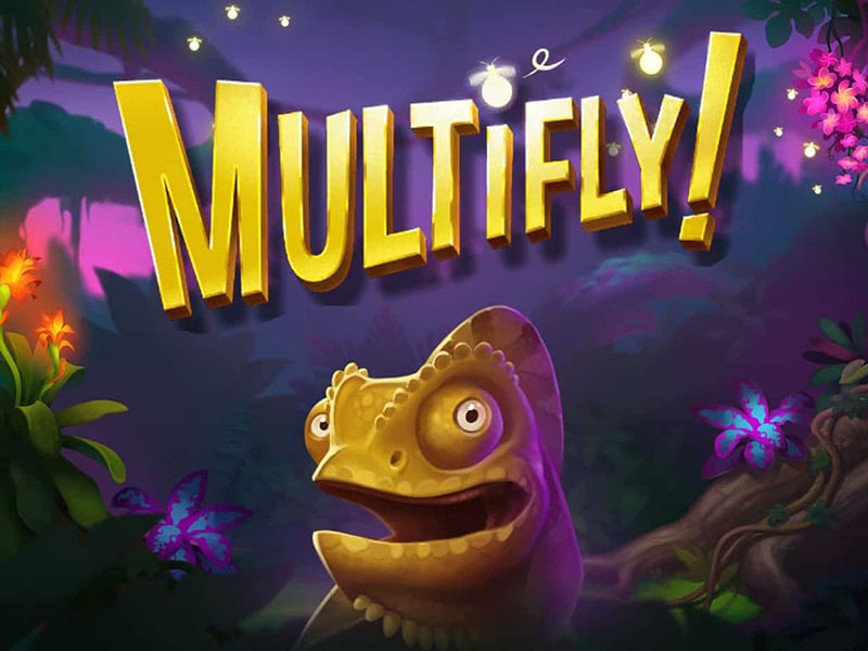 Multifly!