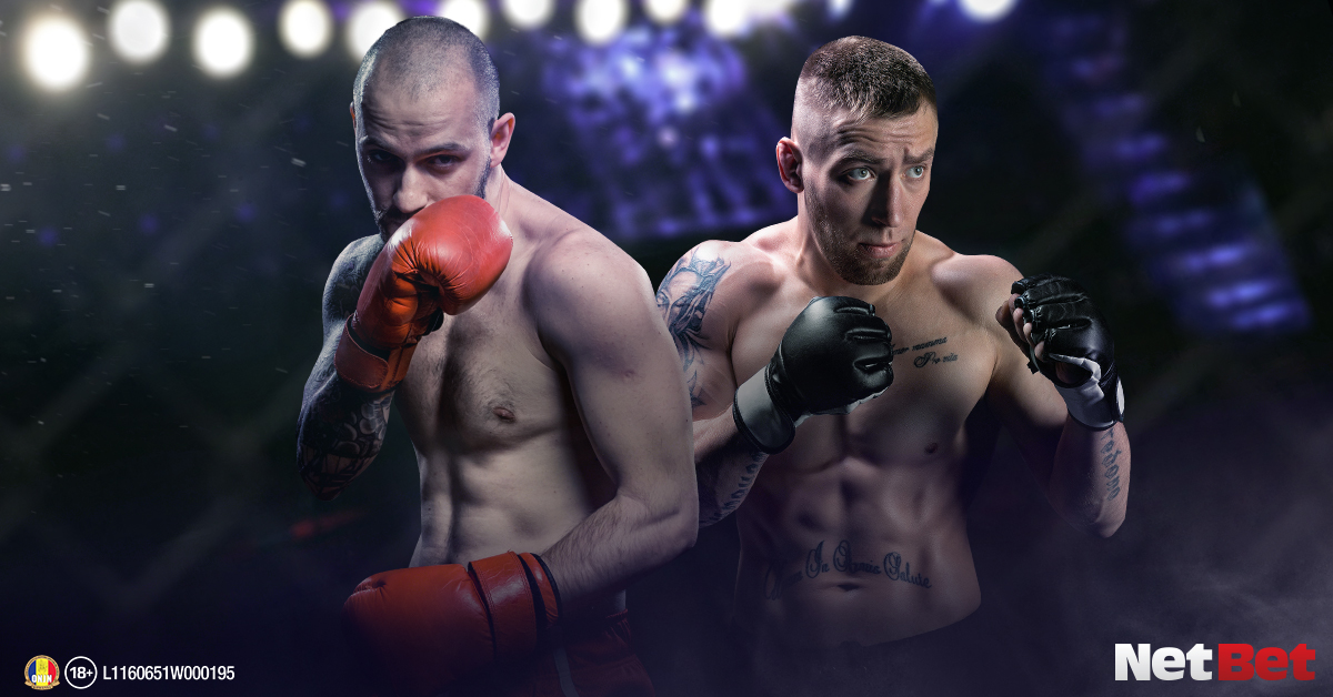 pariuri pe MMA și box