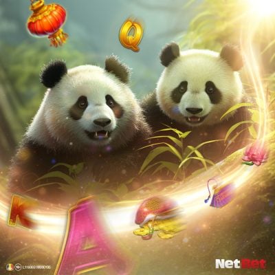 sloturi cu urși panda