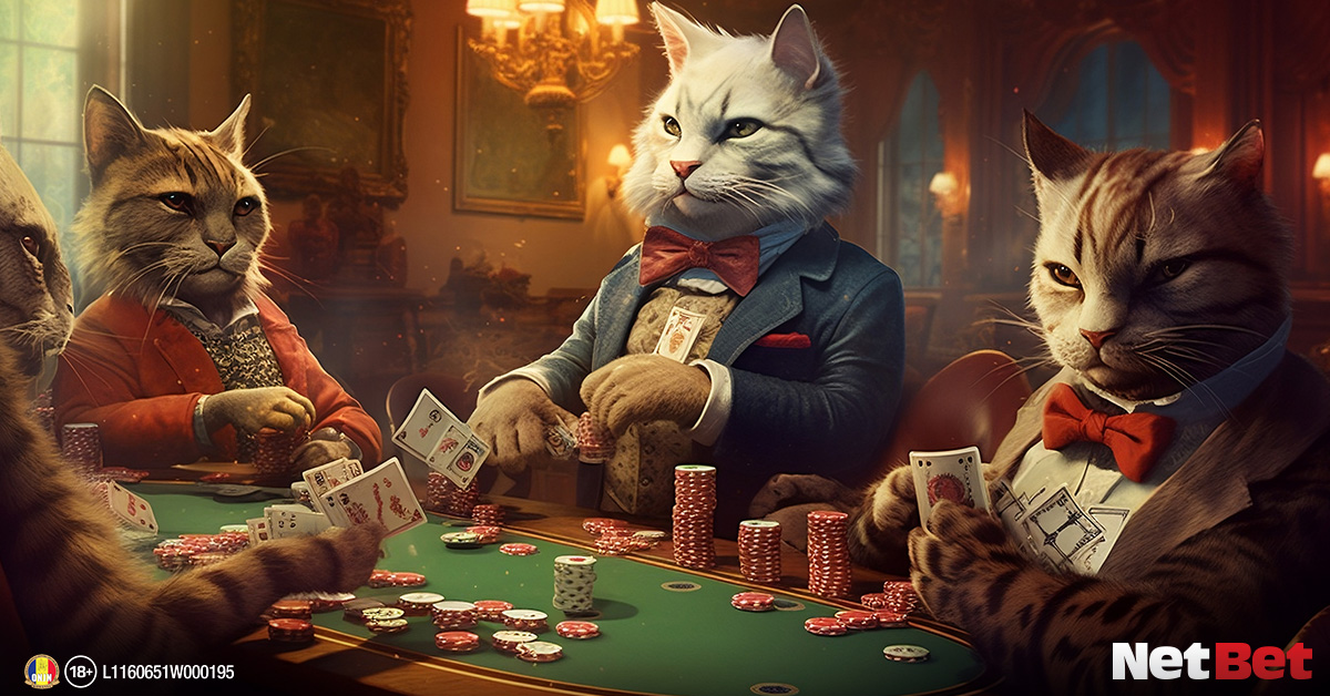 antrenament de poker