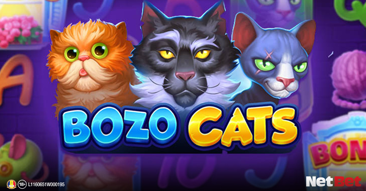 Bozo Cats - sloturi pisici și câini