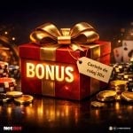 Ce înseamnă cerințe de rulaj la bonus casino online – exemplu 30X explicat